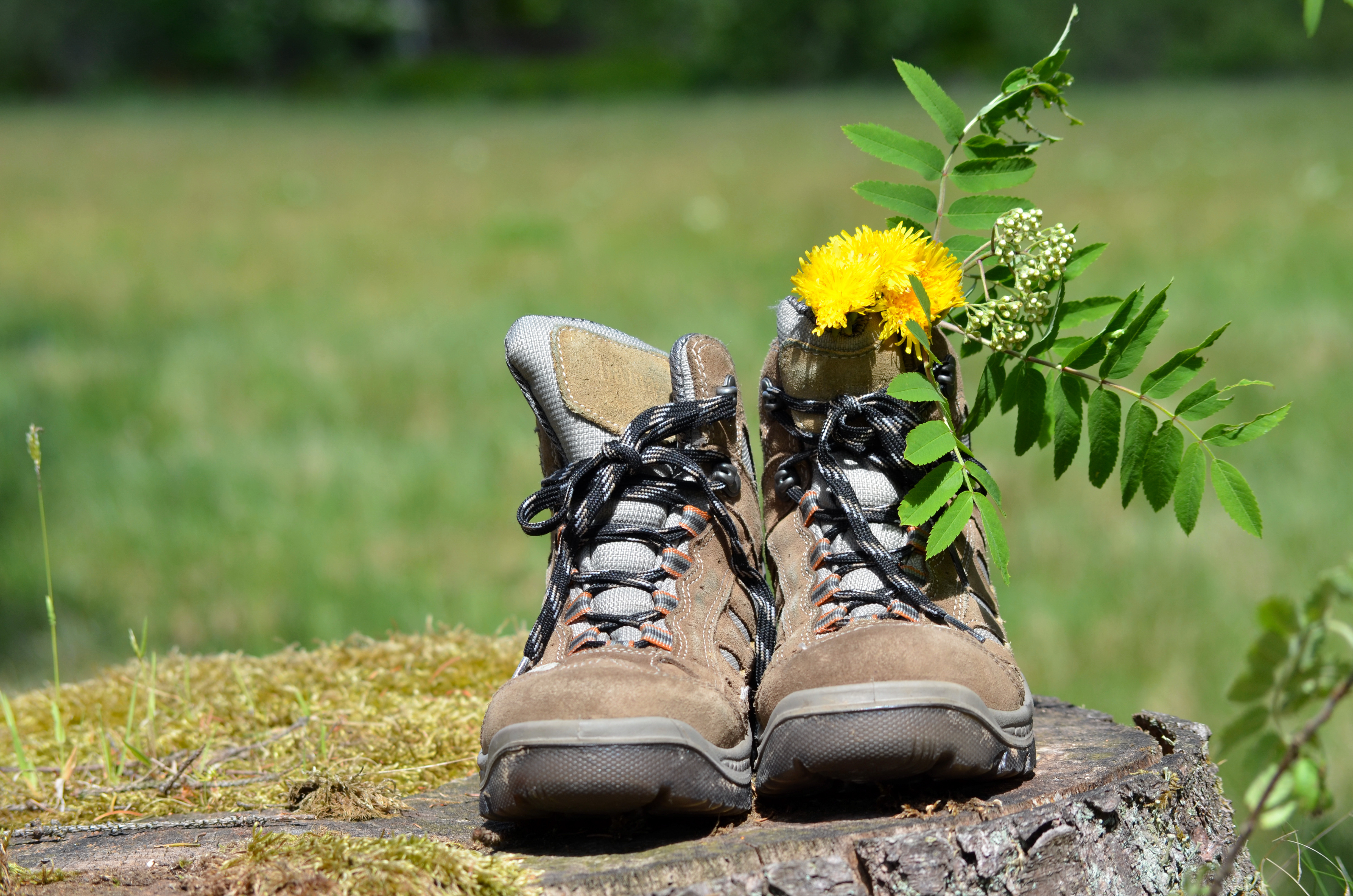 chaussures randonnee